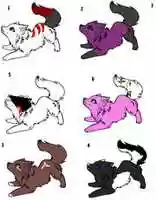 Free download WOLF ADOPTS 5 POINTS {{{{{{{{{{OPEN}}}}}}}}}} free photo or picture to be edited with GIMP online image editor